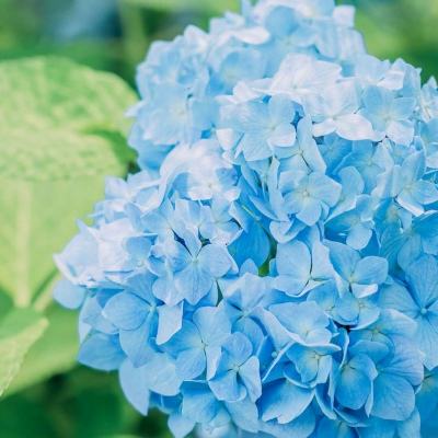 威尼斯欢乐娱人棋牌app下载